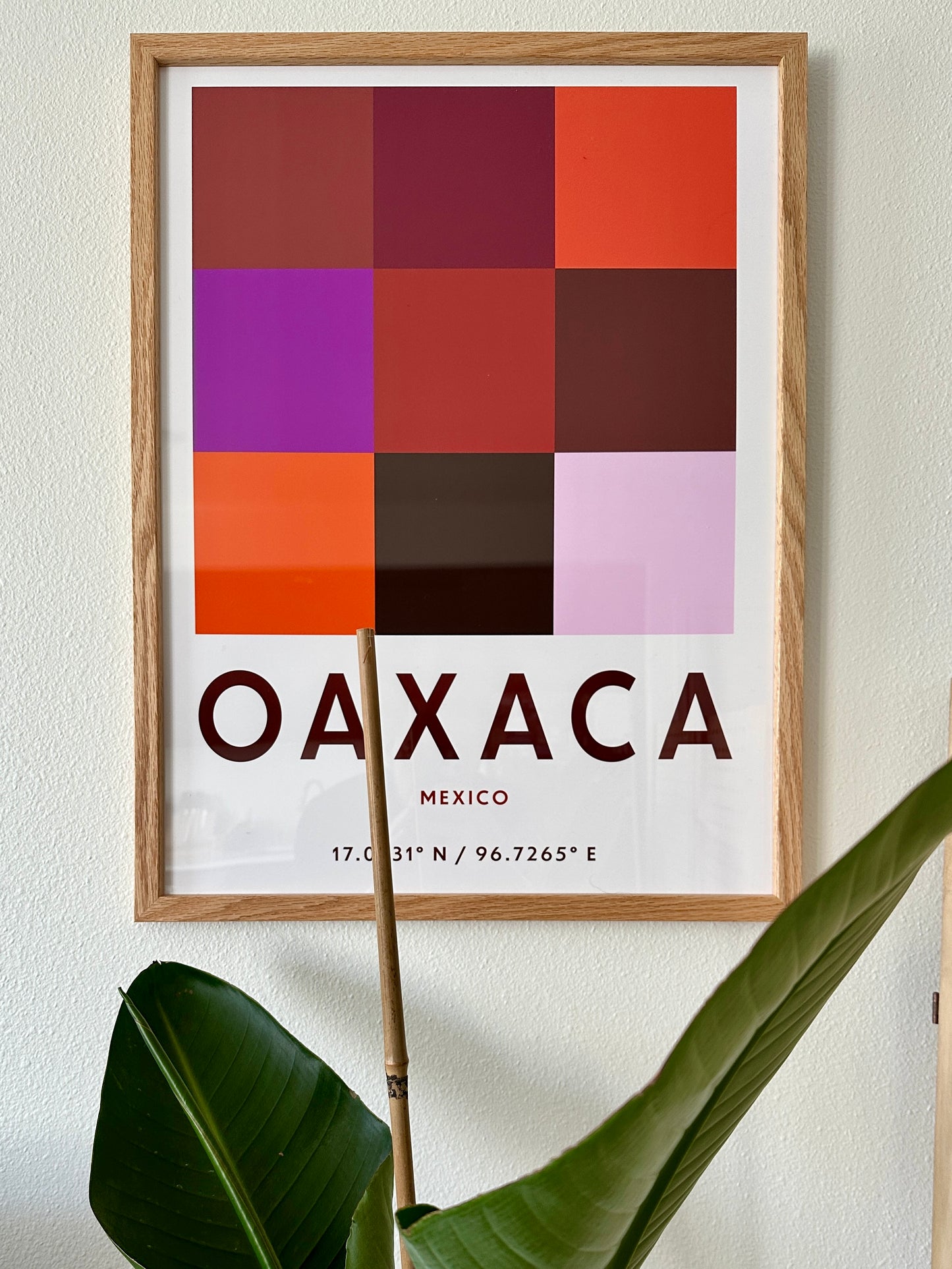 Oaxaca - Color Map Travel Poster